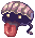 Clam