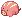 Lost Octopus
