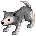 Baby Gray Wolf