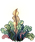Shining Seaweed