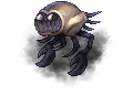 Two Eyes Dollocaris