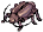 Furious Thief Bug