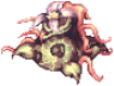 Solid Mandragora