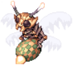 Elusive Luciola Vespa