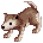 Baby Desert Wolf Ringleader