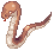 Furious Anacondaq