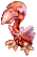 Fire Condor