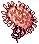 Sea Anemone