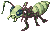 Insect